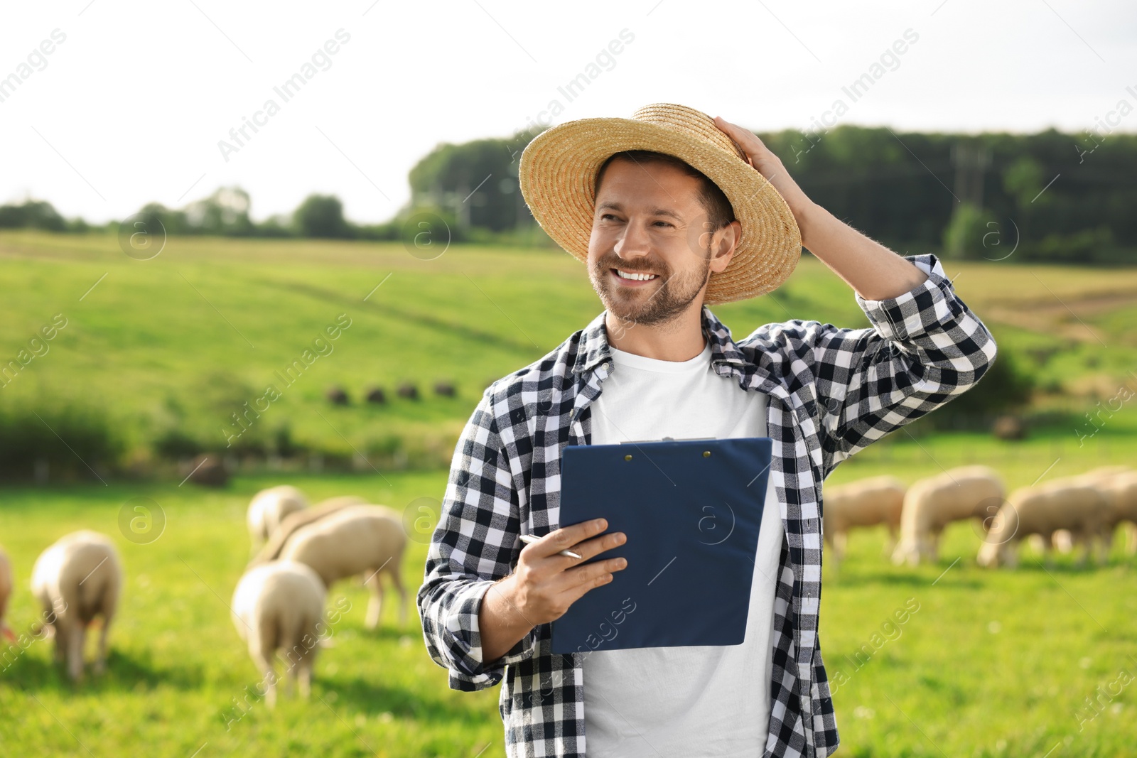 Photo of Smiling farmer with clipboard and animals on pasture