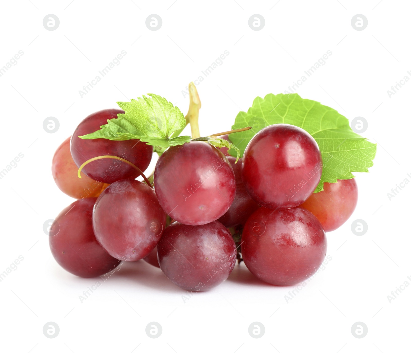 Photo of Fresh ripe juicy red grapes with leaf isolated on white