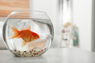 Photo of Beautiful bright small goldfish in round glass aquarium on table indoors. Space for text