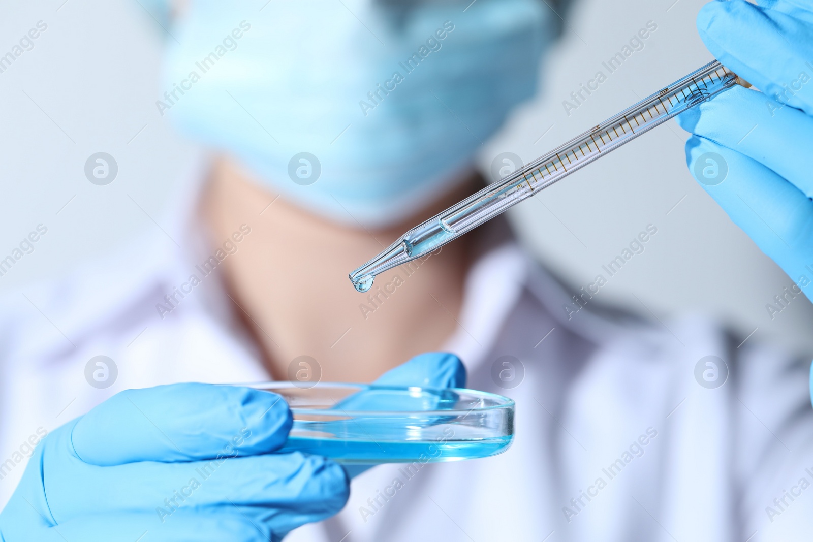 Photo of Scientist dripping liquid from pipette into petri dish, closeup