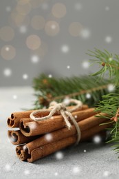 Image of Cinnamon and fire tree branches on grey table, closeup. Space for text