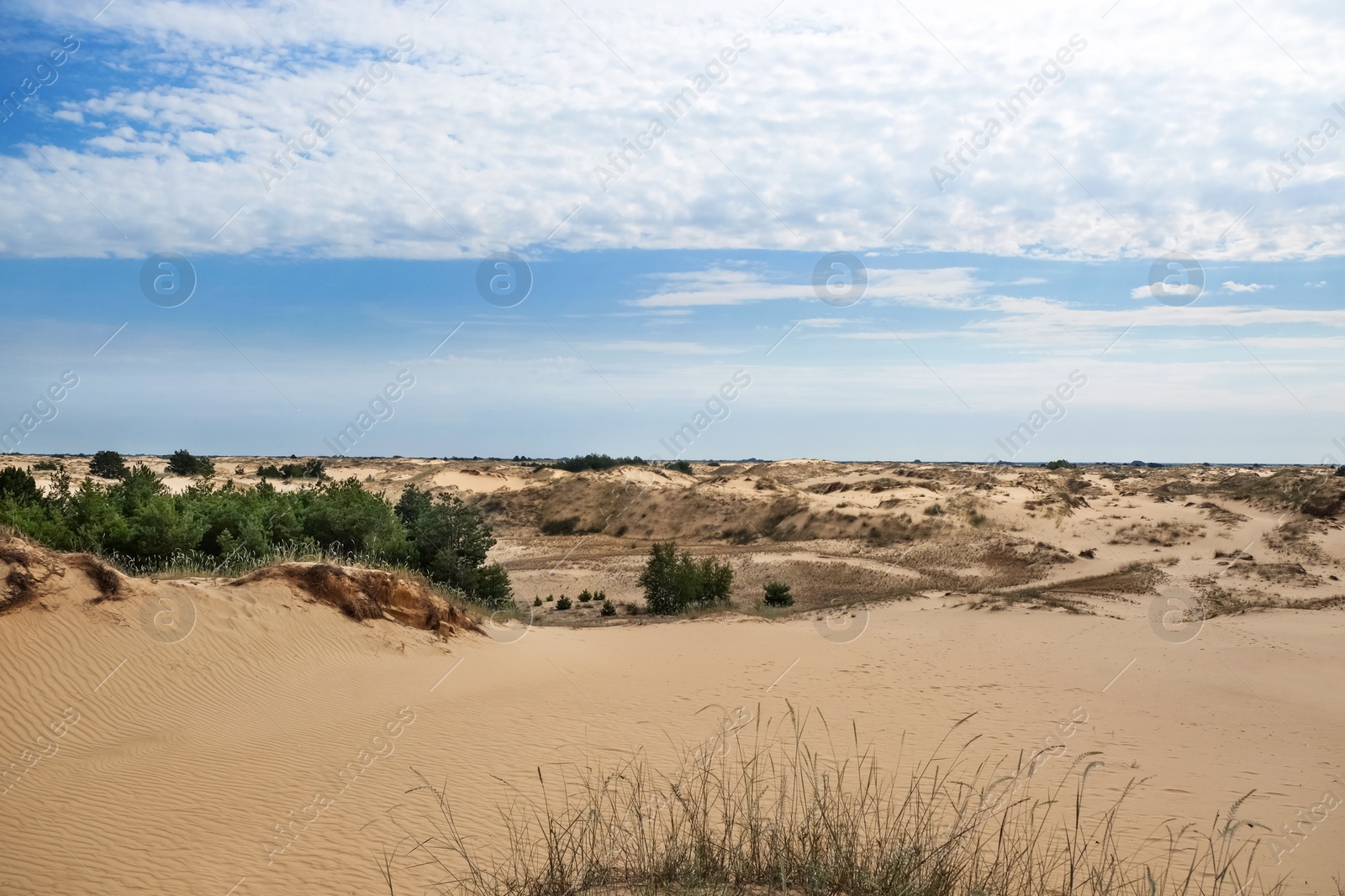 Photo of Picturesque landscape of desert with green grass and blue sky