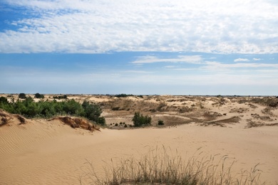 Picturesque landscape of desert with green grass and blue sky