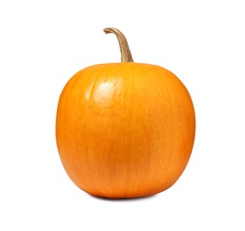 One fresh orange pumpkin isolated on white