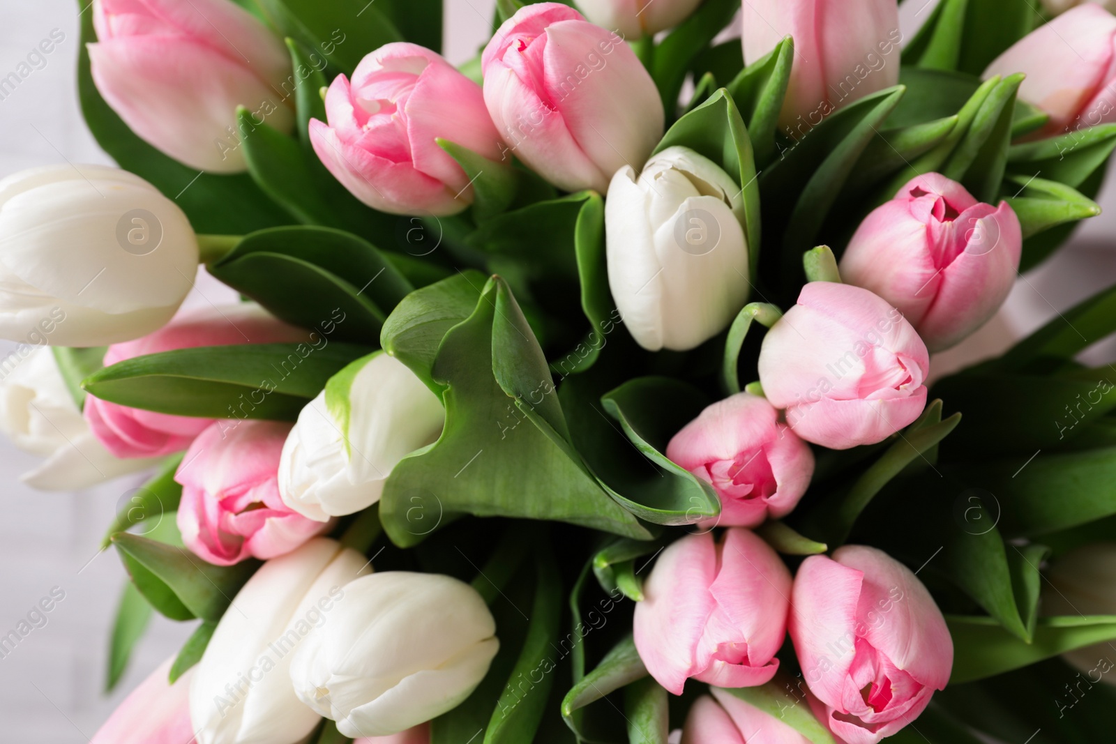 Photo of Big bouquet of beautiful tulips, closeup view