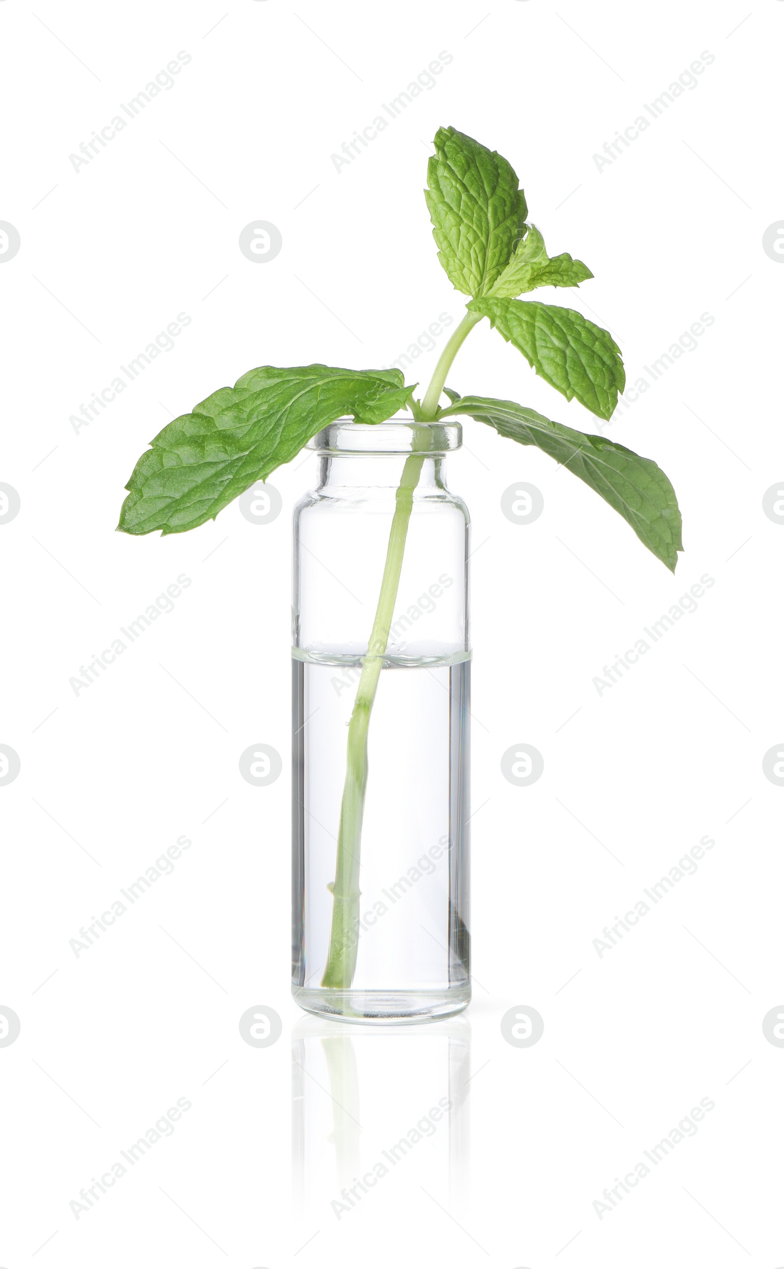 Photo of Bottle with essential oil and mint isolated on white
