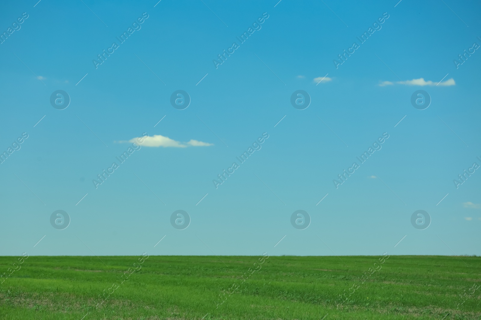 Photo of Beautiful landscape with green grass on sunny day