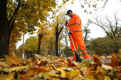 Street cleaner sweeping leaves outdoors on autumn day, low angle view