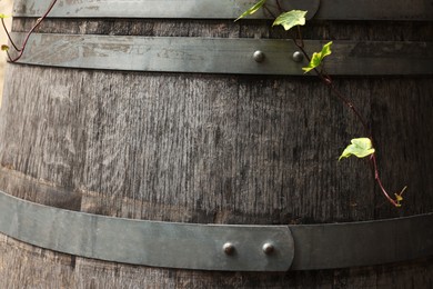 Photo of Traditional wooden barrel and ivy as background, closeup. Wine making