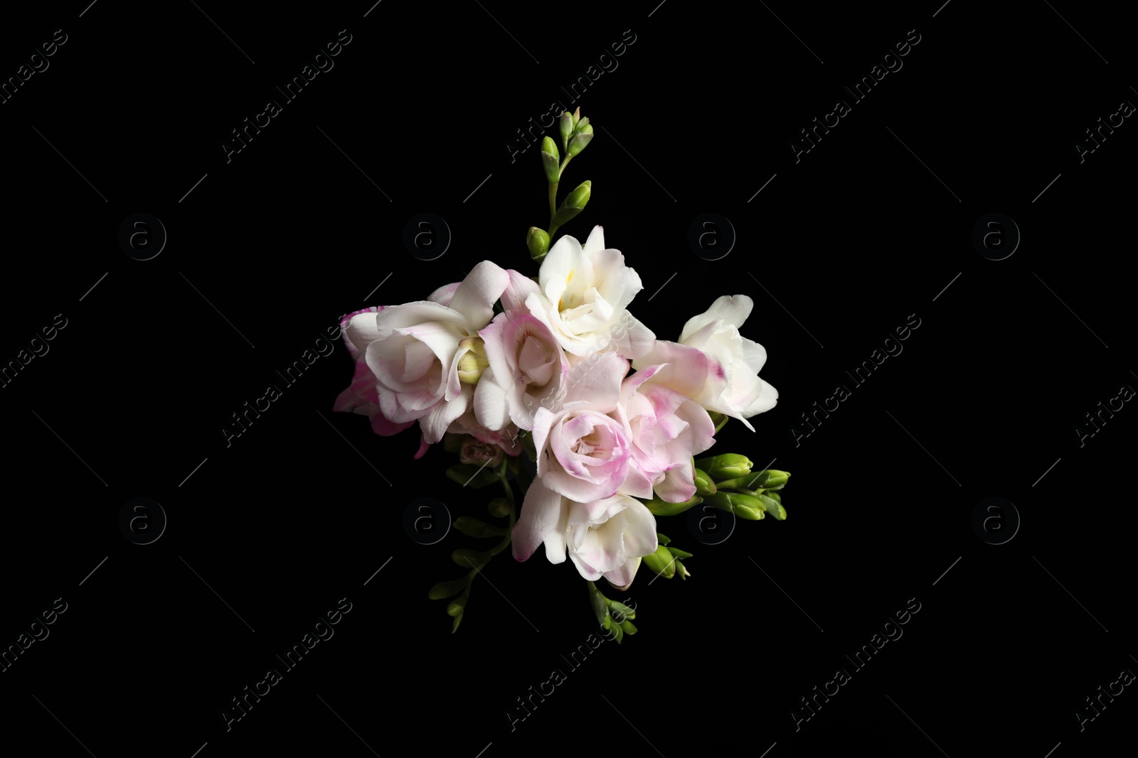 Photo of Bouquet of beautiful freesia flowers on black background, top view