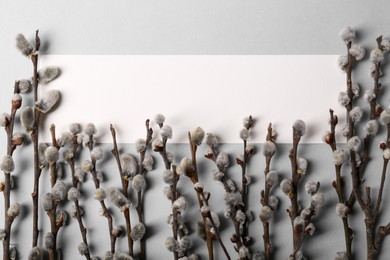 Photo of Beautiful blooming willow branches and blank card on light grey background, flat lay. Space for text