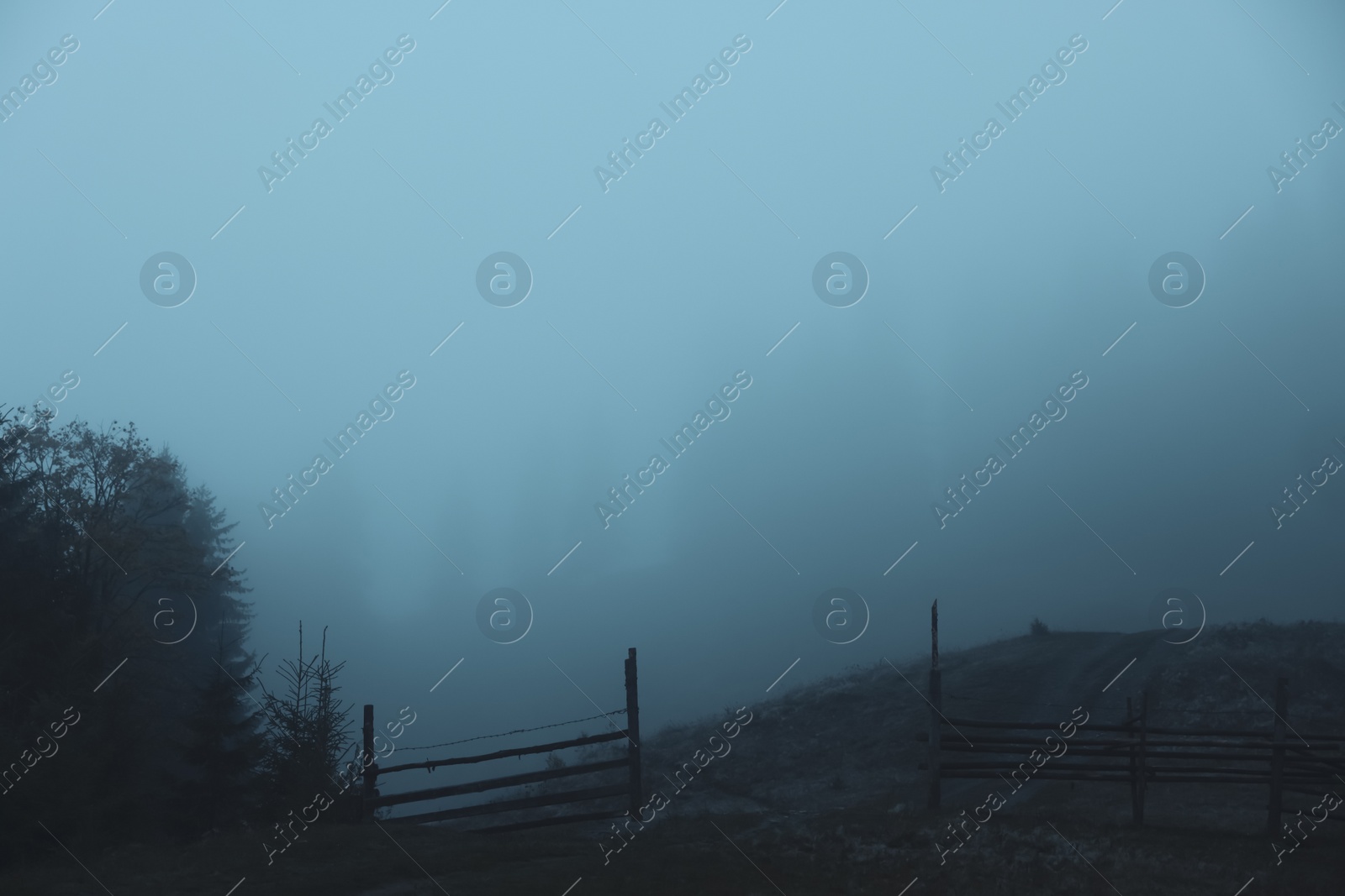 Photo of Beautiful view of pathway, wooden fence and trees in foggy morning