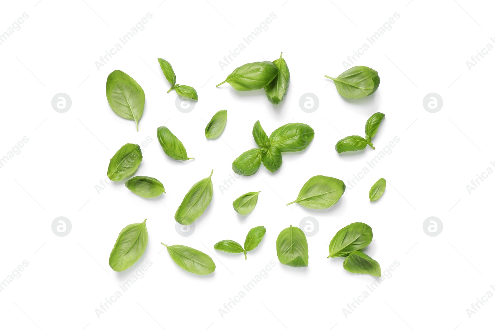 Photo of Fresh green basil leaves on white background, top view