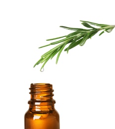 Photo of Rosemary branch with drop of essential oil over bottle against white background