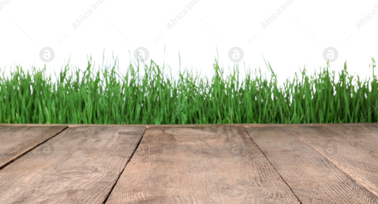 Photo of Wooden deck and green grass isolated on white