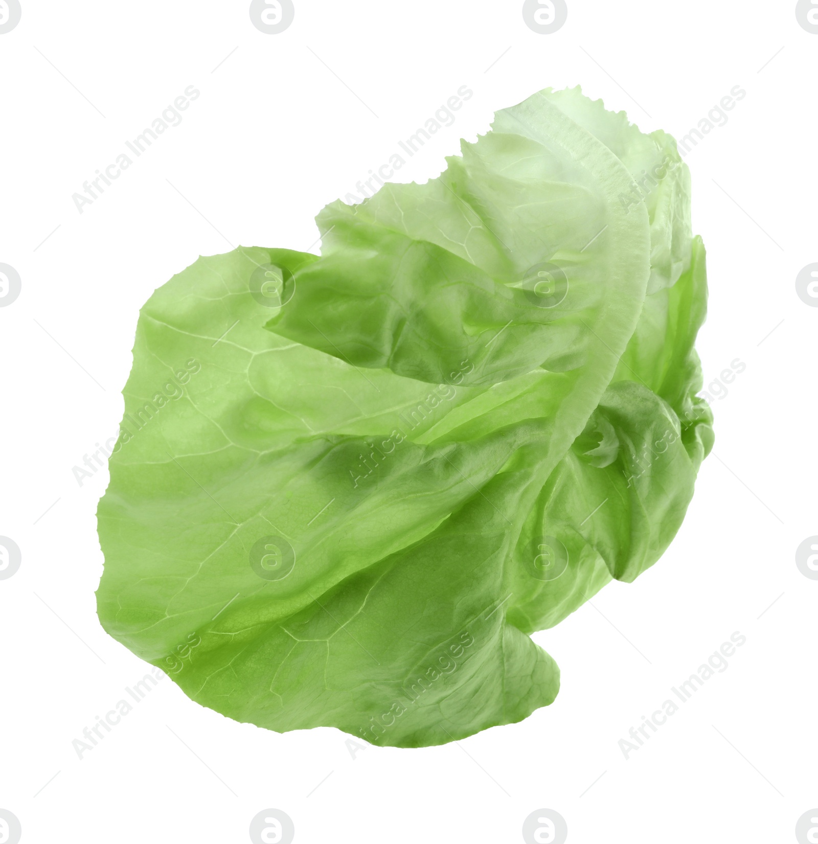 Photo of Fresh leaf of green butter lettuce isolated on white