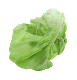 Fresh leaf of green butter lettuce isolated on white
