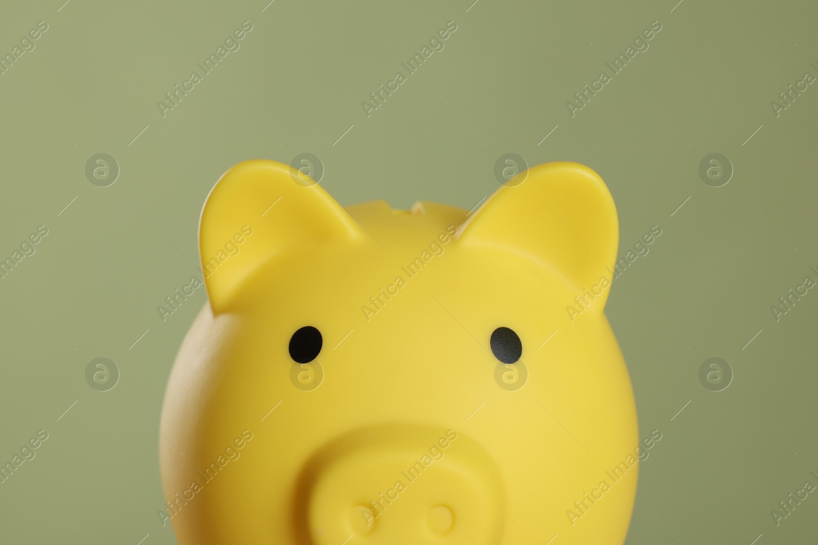 Photo of Yellow piggy bank on olive background, closeup. Space for text