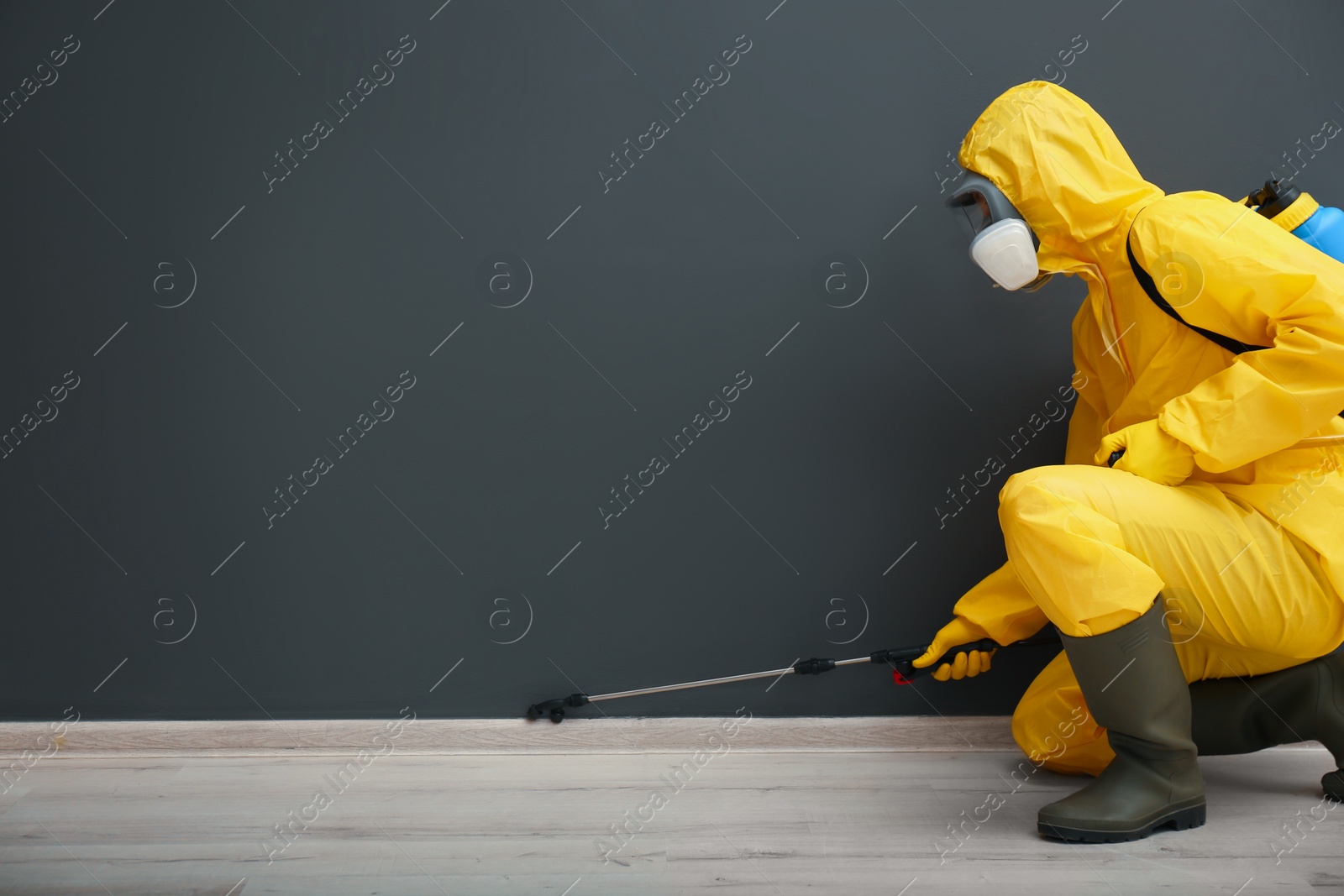 Photo of Pest control worker in protective suit spraying pesticide near black wall indoors. Space for text