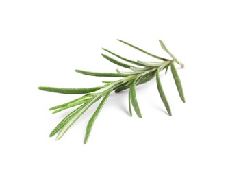 Photo of Sprig of fresh rosemary isolated on white