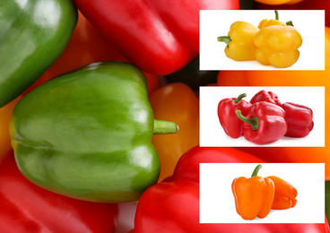 Image of Collage with different fresh ripe bell peppers