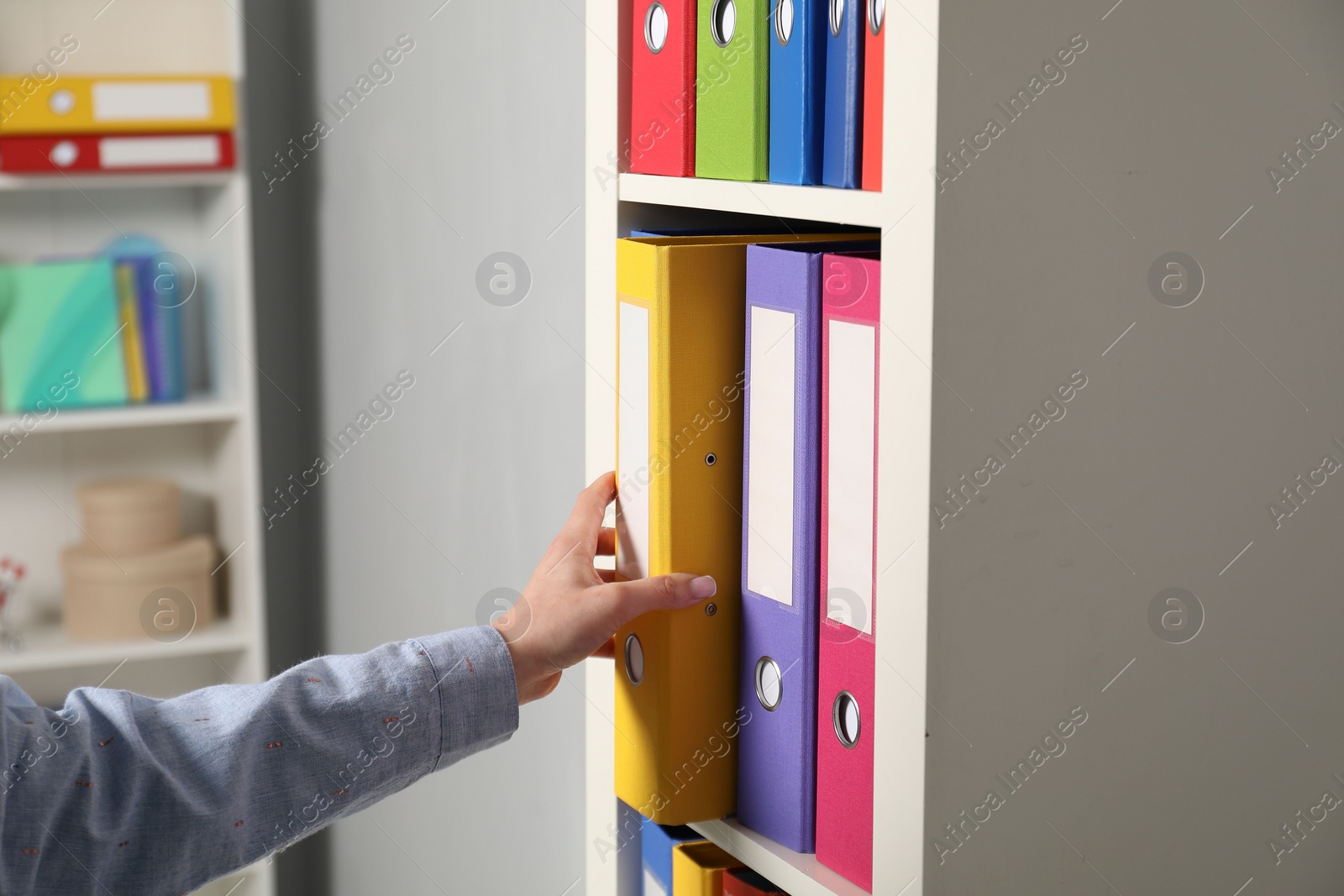 Photo of Woman taking binder office folder from shelving unit indoors, closeup