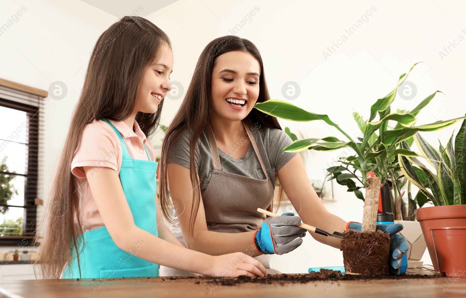 Photo of Mother and daughter taking care of plant at home