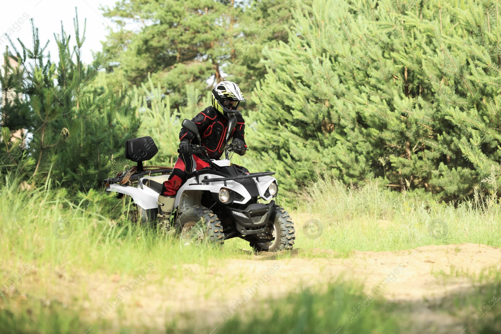 Photo of Man driving modern quad bike on sandy road near forest. Extreme sport