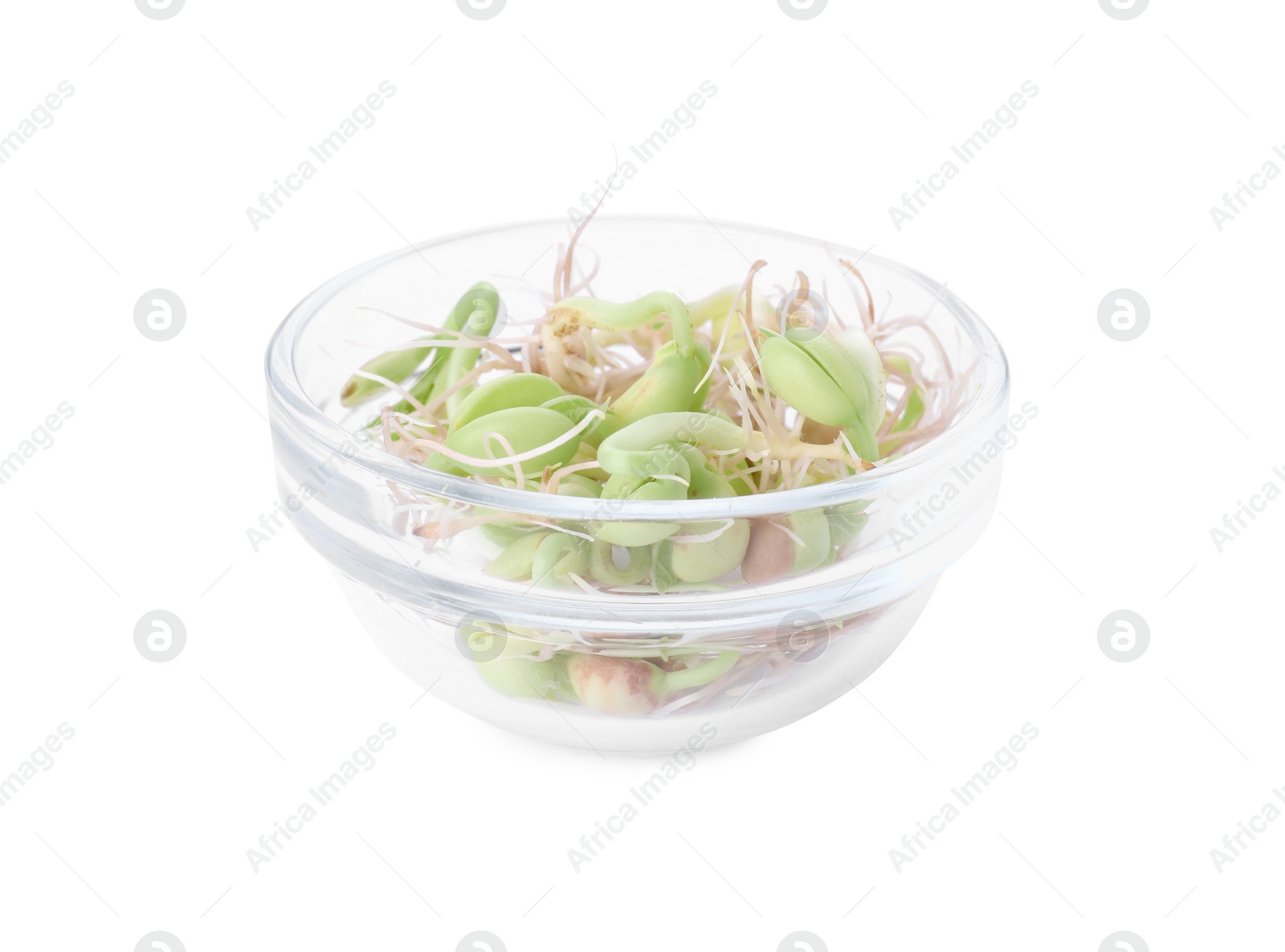 Photo of Dish with sprouted kidney beans isolated on white