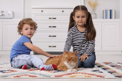Little children petting cute ginger cat on carpet at home