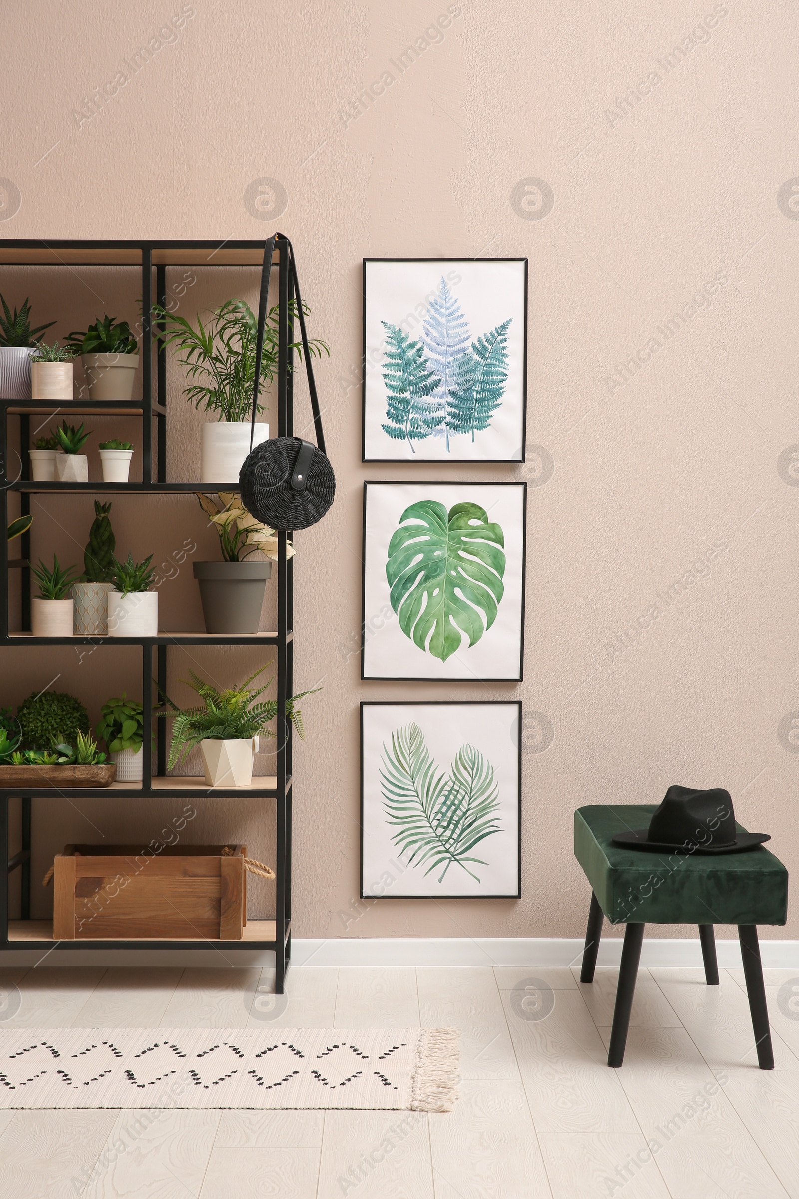 Photo of Stylish room interior with many beautiful houseplants