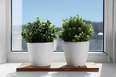 Artificial potted herbs on sunny day on windowsill indoors. Home decor