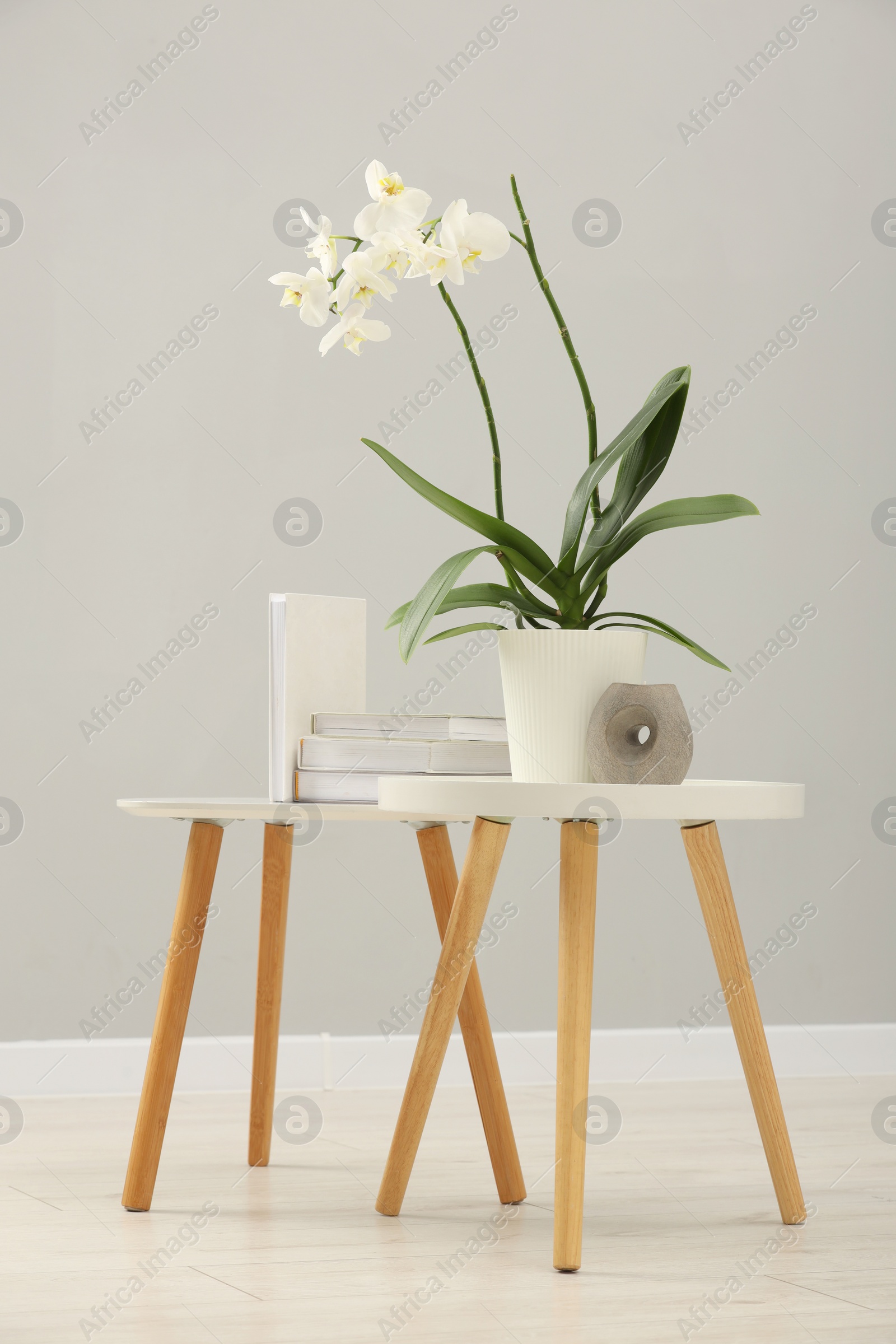 Photo of Blooming white orchid flower in pot, books and candle on nesting tables near grey wall indoors