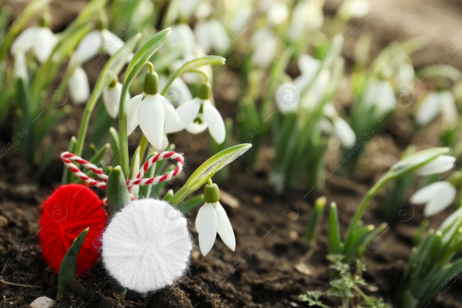 Photo of Traditional martisor near beautiful snowdrops outdoors, closeup. Beginning of spring celebration