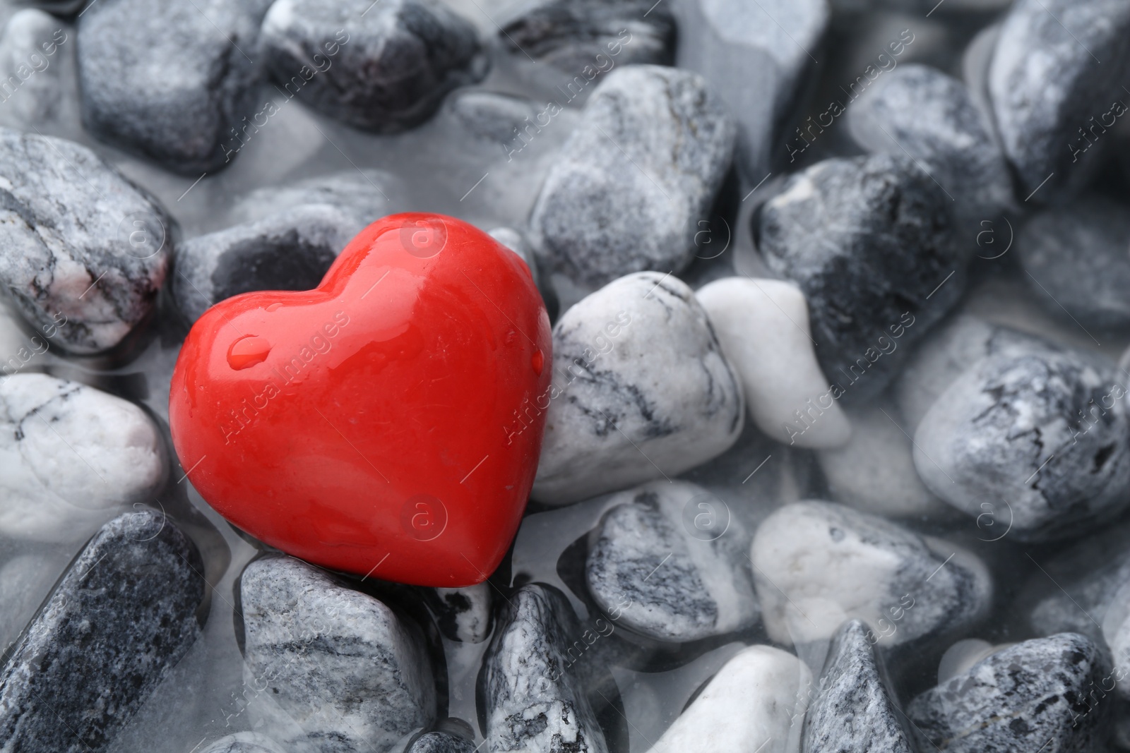 Photo of Red decorative heart on stones and water, top view. Space for text