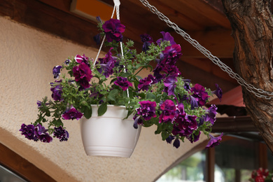 Beautiful purple flowers in hanging plant pot near building outdoors