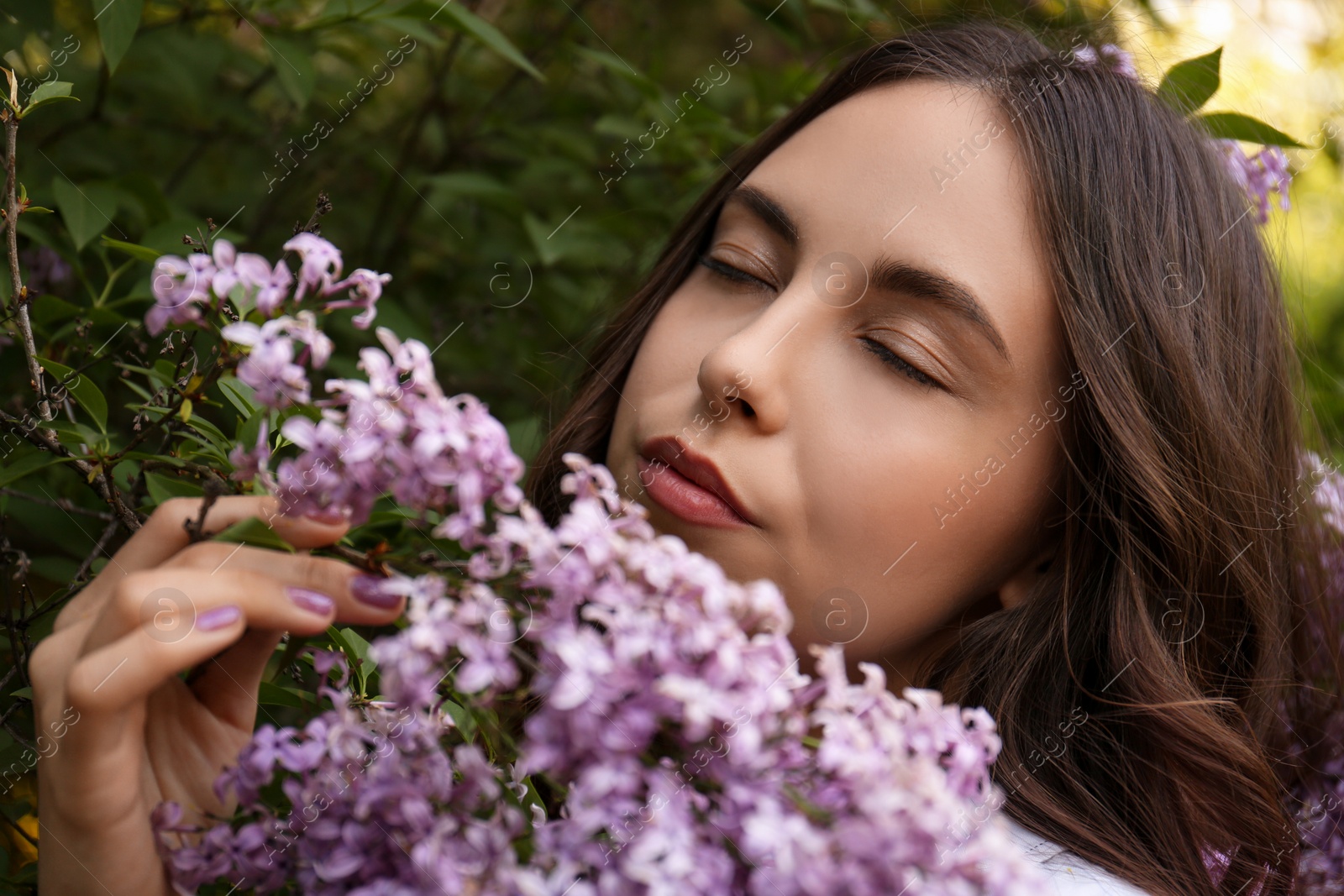 Photo of Attractive young woman near blooming lilac bush outdoors, closeup