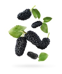 Fresh ripe black mulberries and green leaves falling on white background