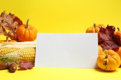 Photo of Thanksgiving day. Beautiful composition with pumpkins and blank card on yellow background, space for text