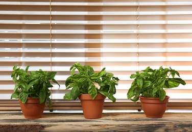 Photo of Fresh green basil in pots on wooden window sill