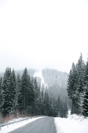 Photo of Beautiful landscape with conifer forest and road on snowy winter day