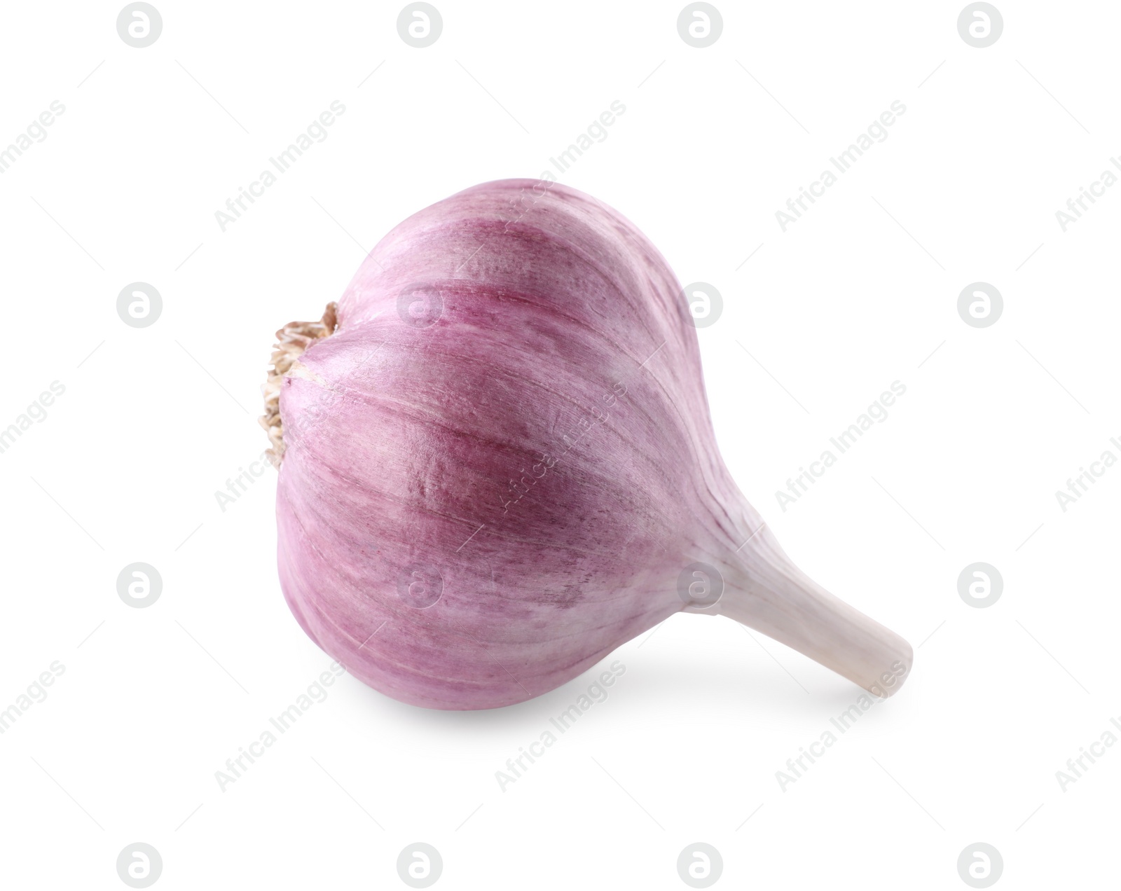 Photo of Fresh raw garlic head isolated on white