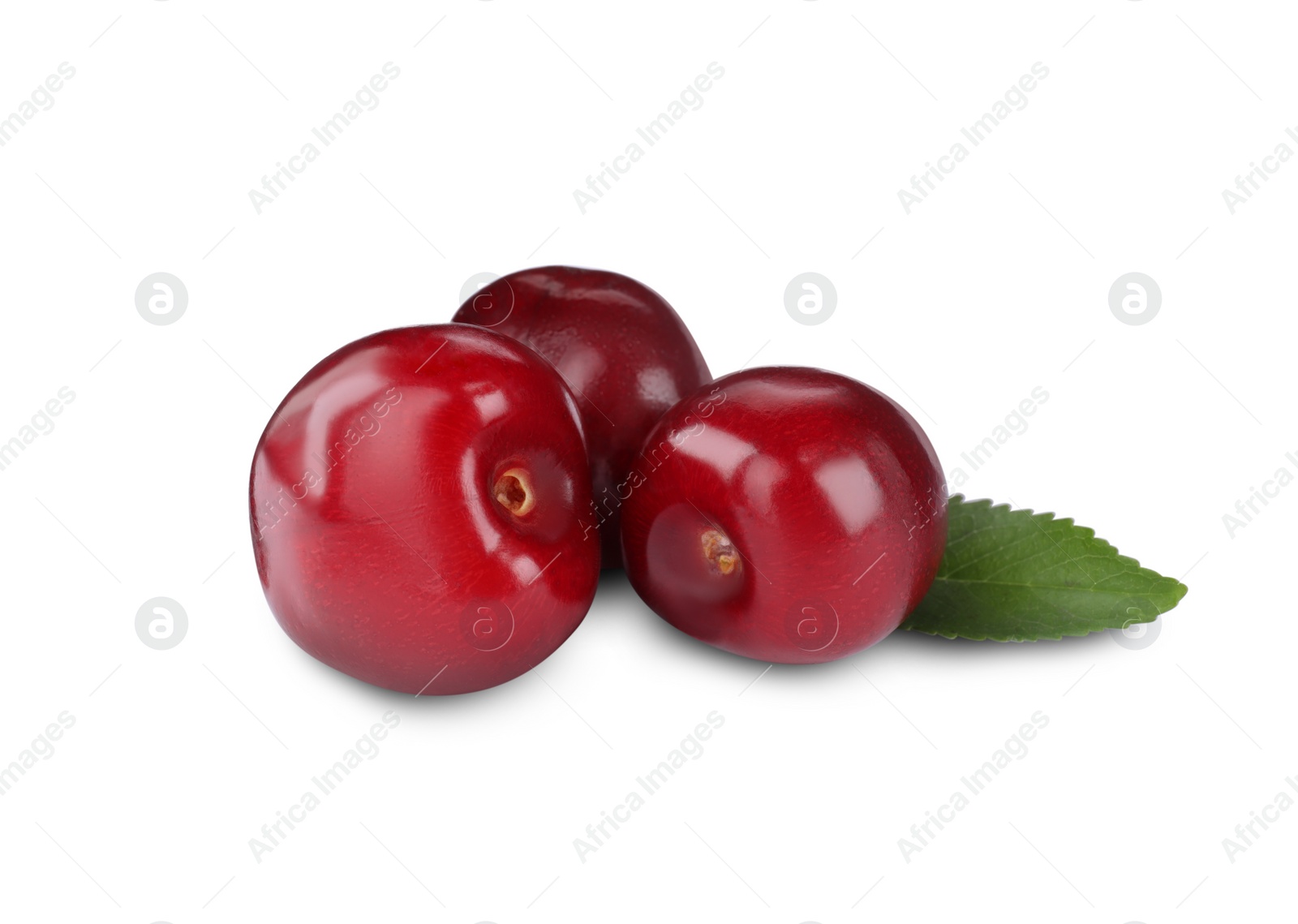 Photo of Tasty ripe red cherries with green leaf isolated on white