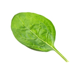 Photo of Fresh green healthy baby spinach leaf isolated on white