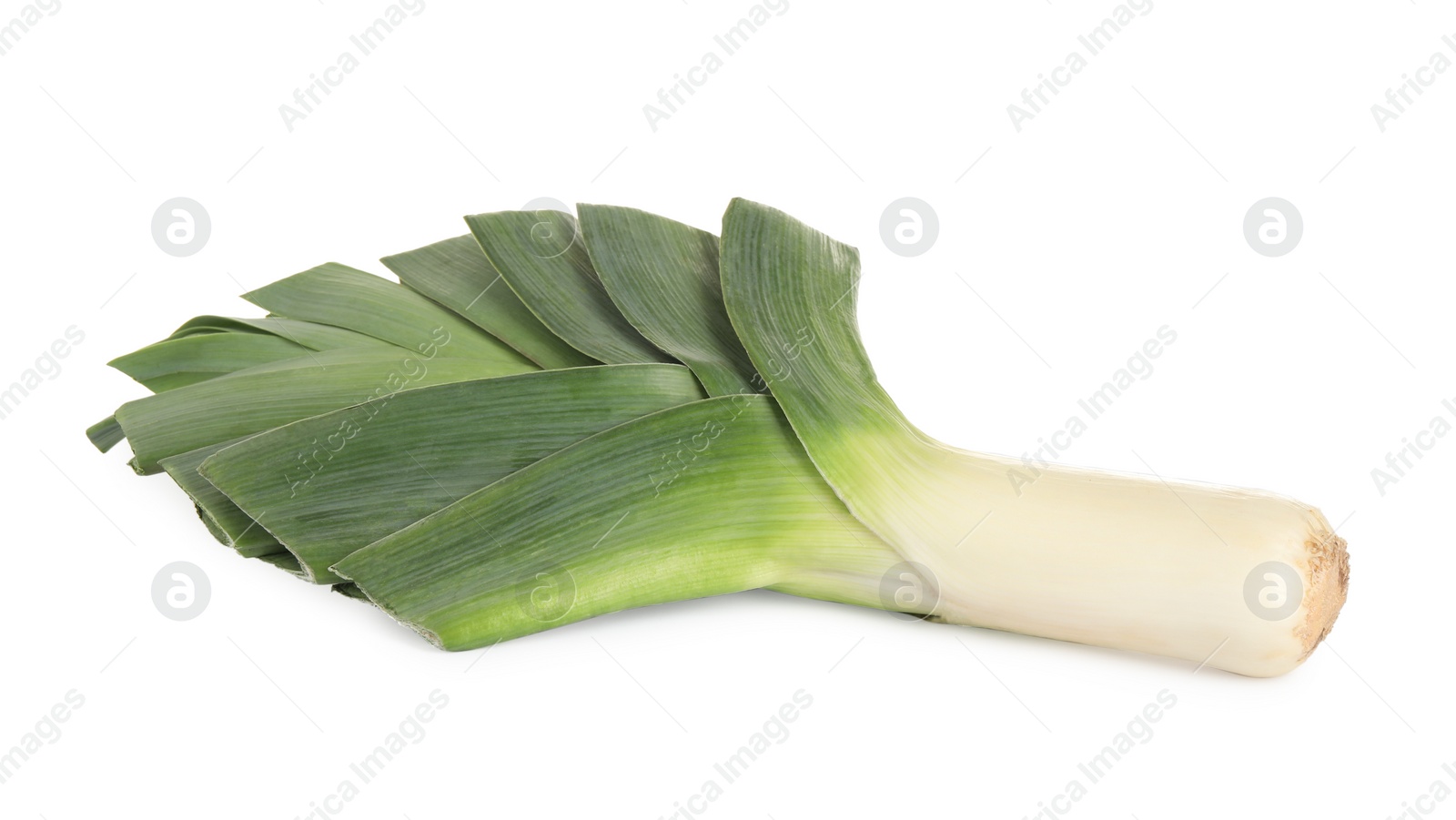 Photo of Fresh raw organic leek isolated on white