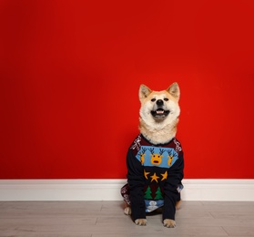 Photo of Cute Akita Inu dog in Christmas sweater indoors. Space for text