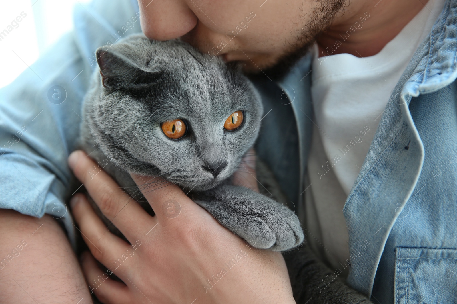 Photo of Man with cute cat indoors, closeup view