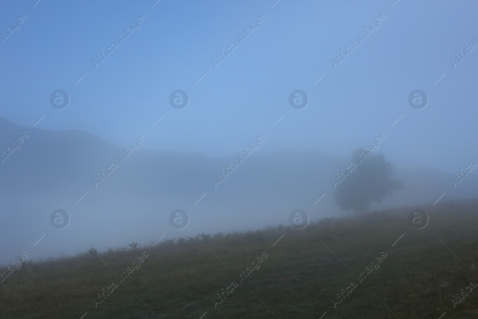 Photo of Picturesque view of mountains covered with fog