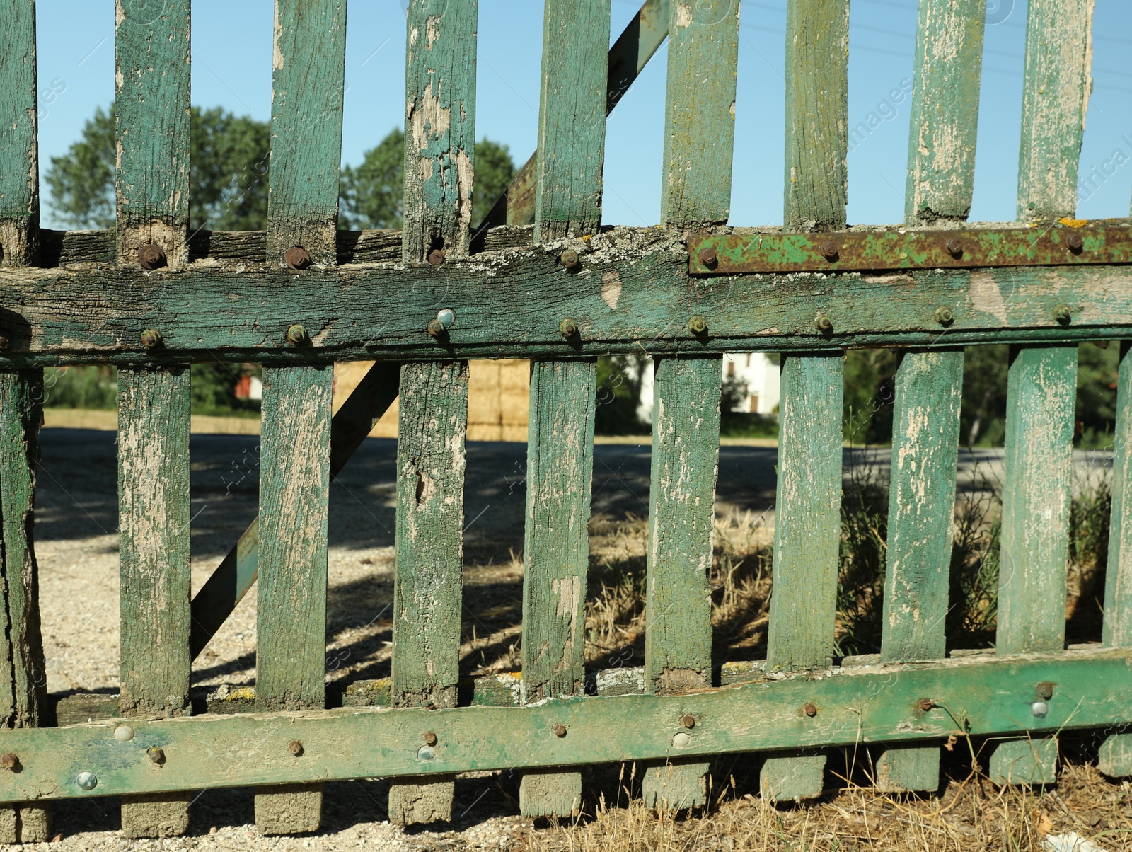 Photo of Old green wooden fence on sunny day