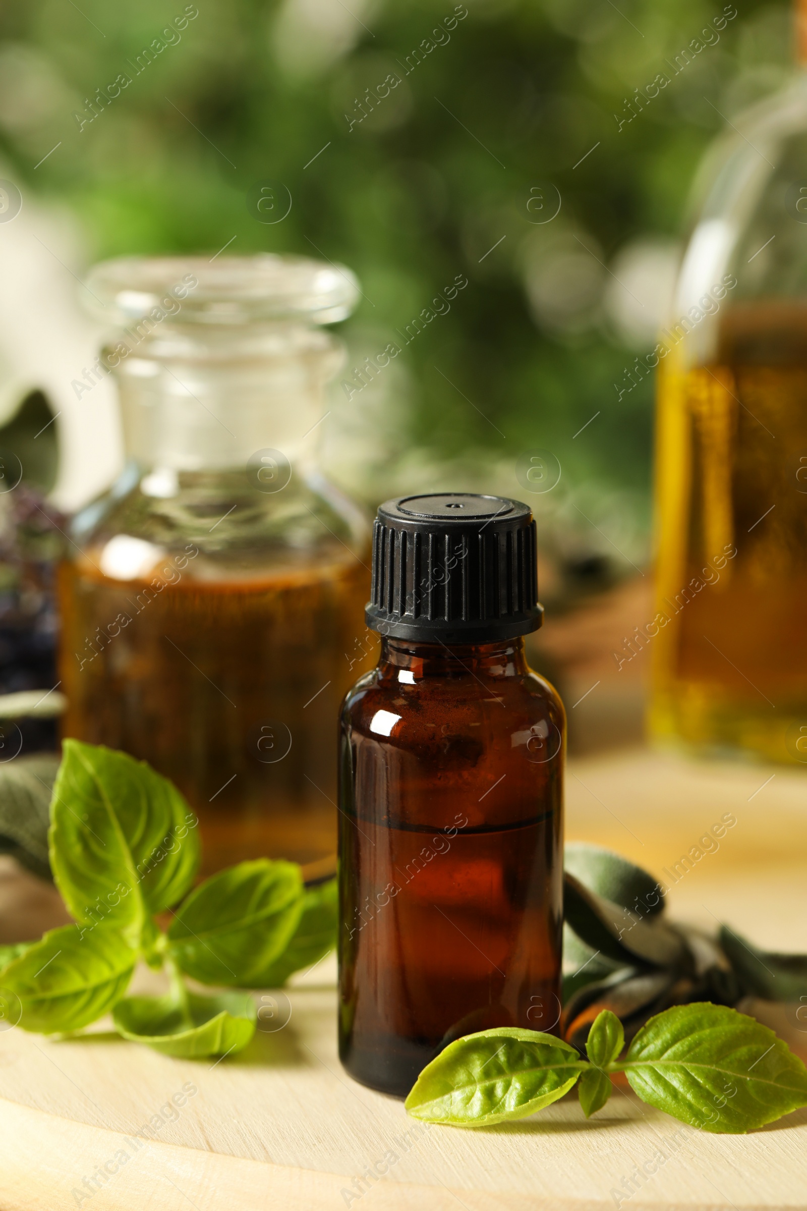 Photo of Different fresh herbs with oils on wooden table, closeup